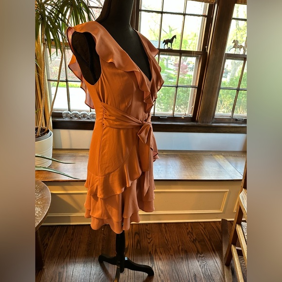 Express Ruffle Mini Dress - Picture 7 of 11